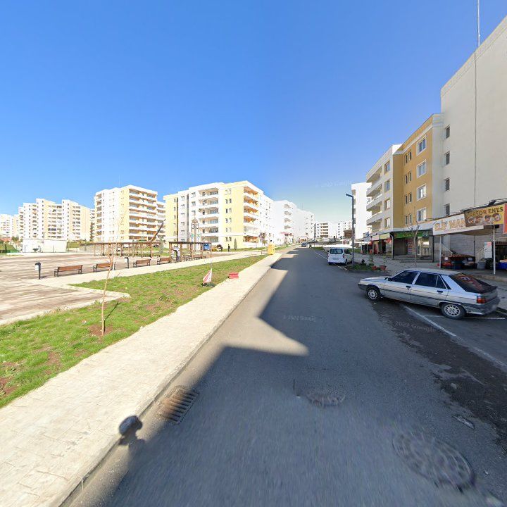 Fotoğraf 13