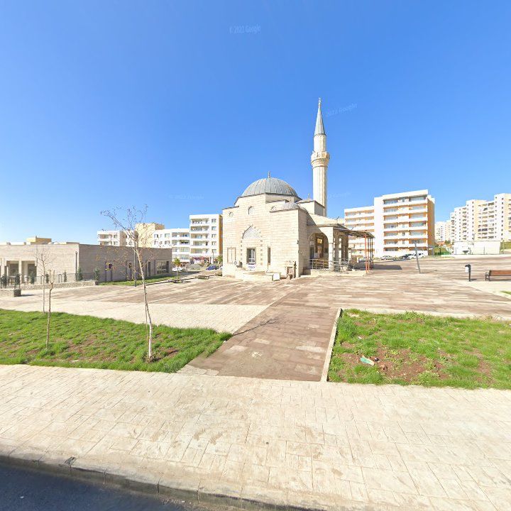 Fotoğraf 12