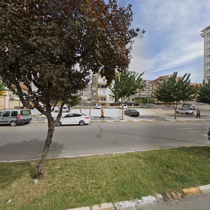 Fotoğraf 8
