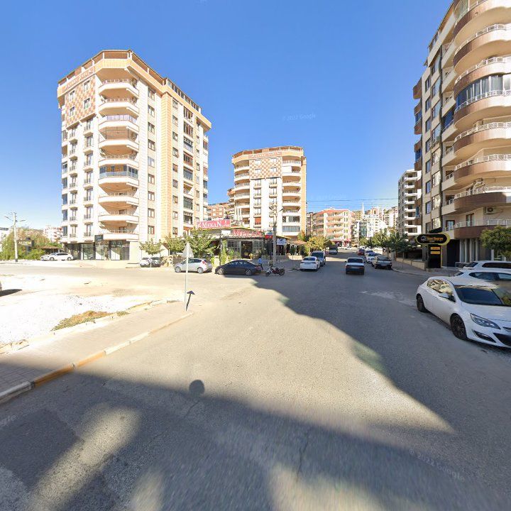 Fotoğraf 11