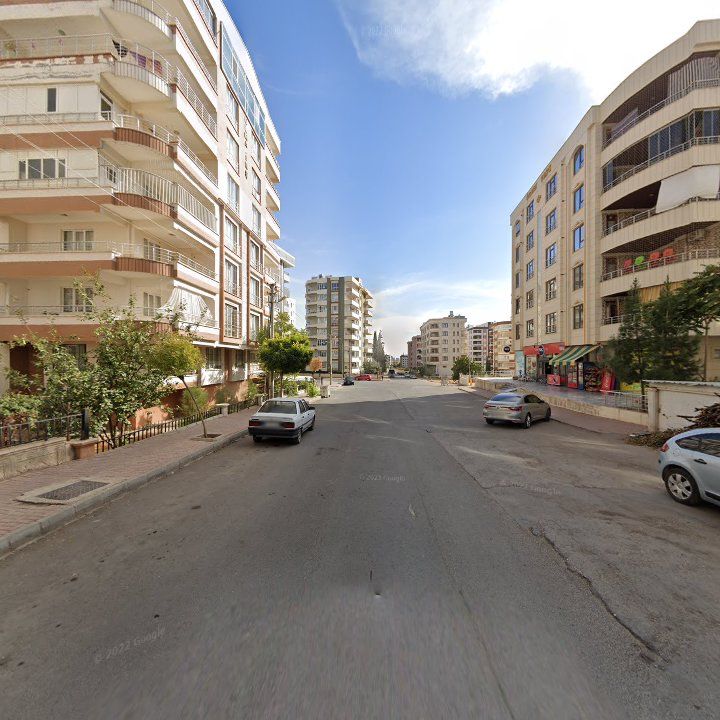 Fotoğraf 5