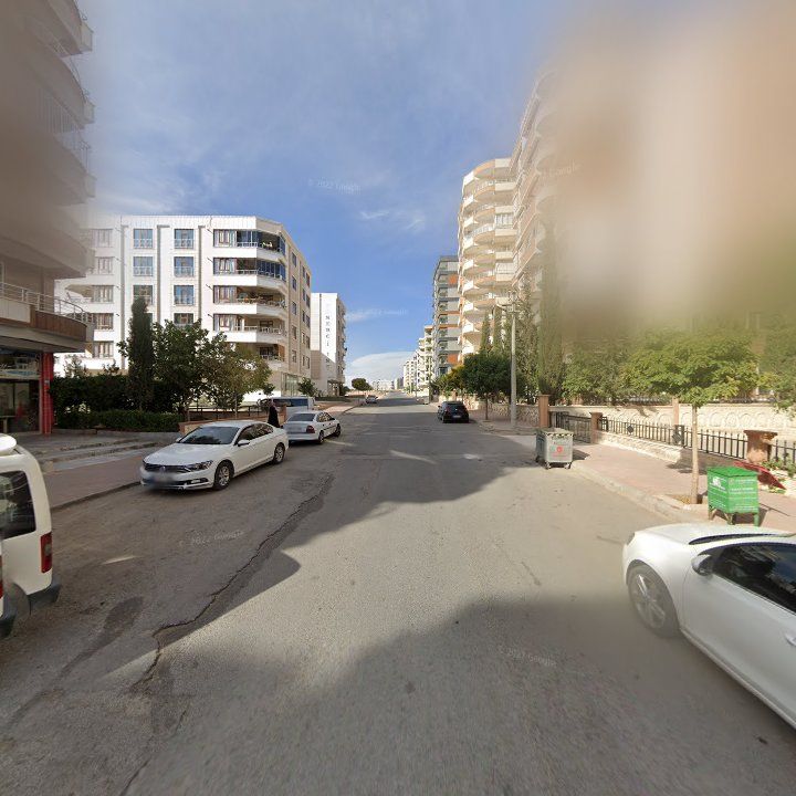 Fotoğraf 3
