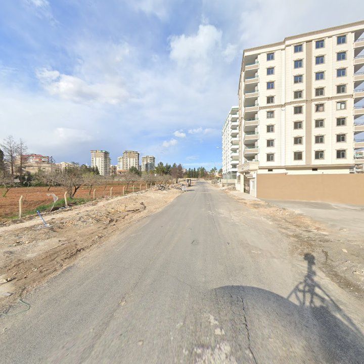 Fotoğraf 11