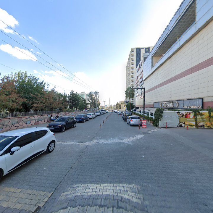 Fotoğraf 13