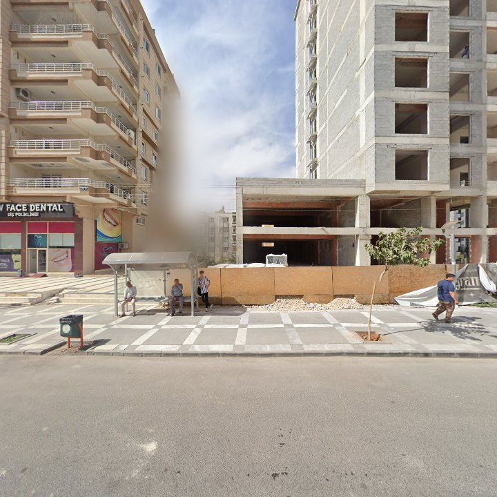 Fotoğraf 11