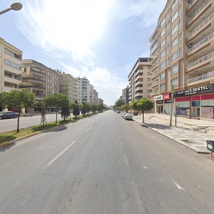Fotoğraf 10
