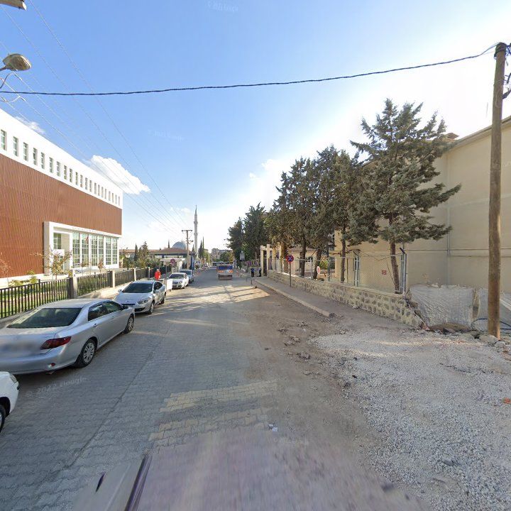 Fotoğraf 10