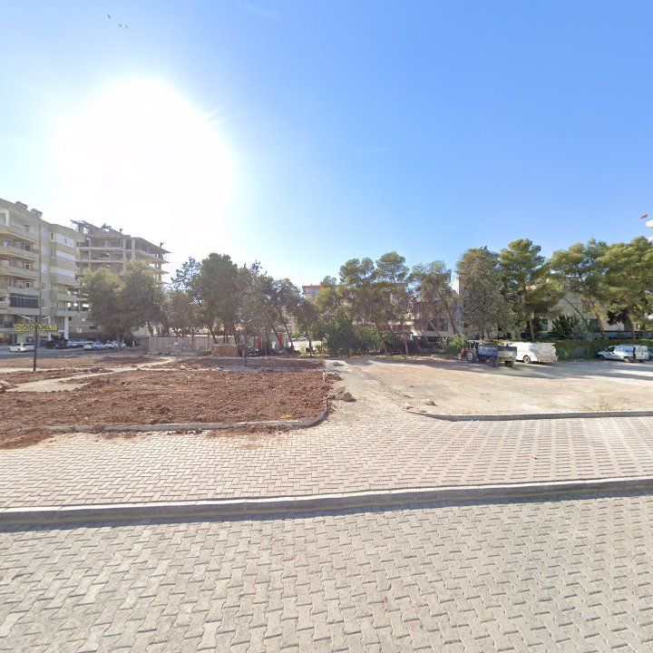 Fotoğraf 9