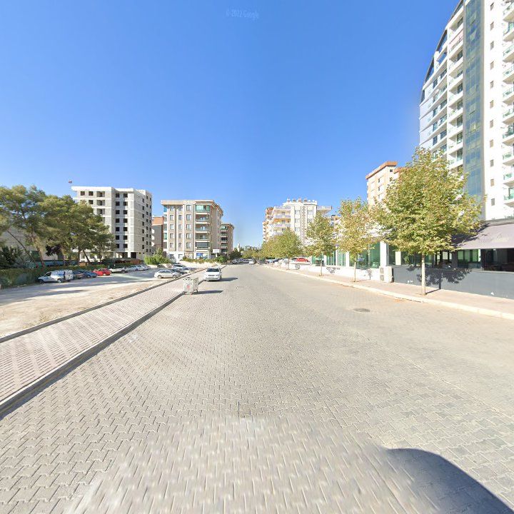 Fotoğraf 10