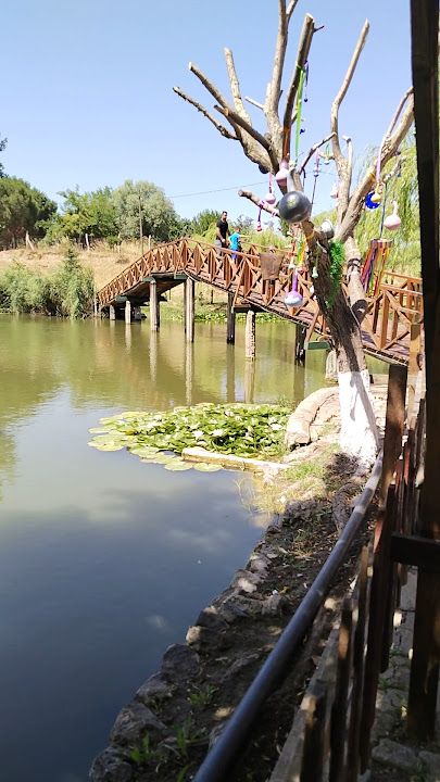 Fotoğraf 30