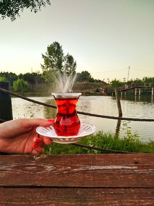 Fotoğraf 27