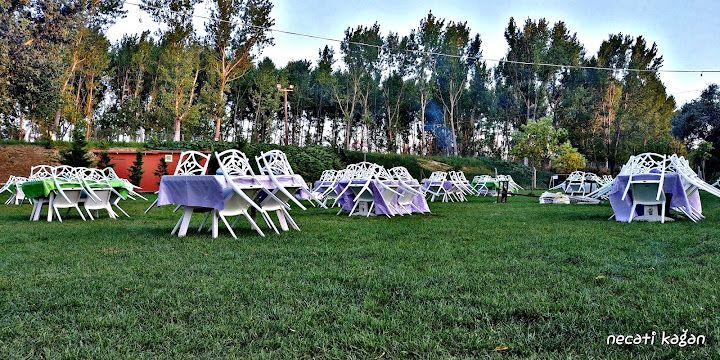 Fotoğraf 50