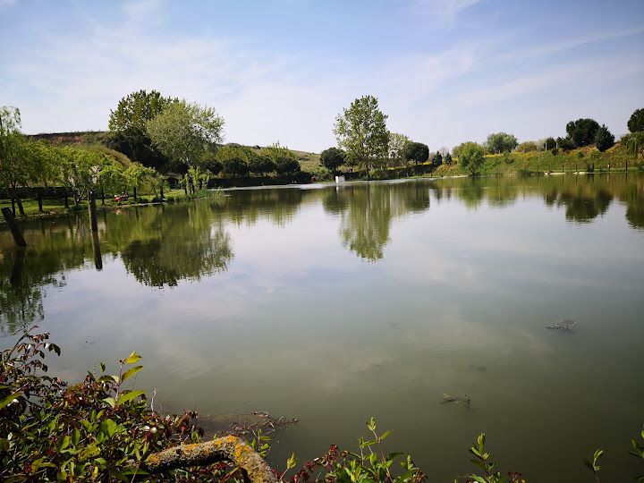 Fotoğraf 53