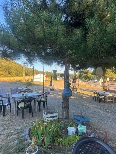 Yorum fotoğrafı 7
