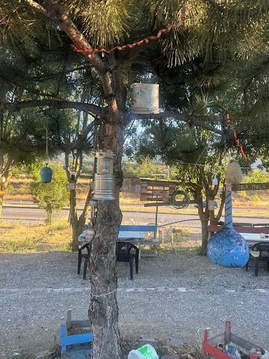 Yorum fotoğrafı 9