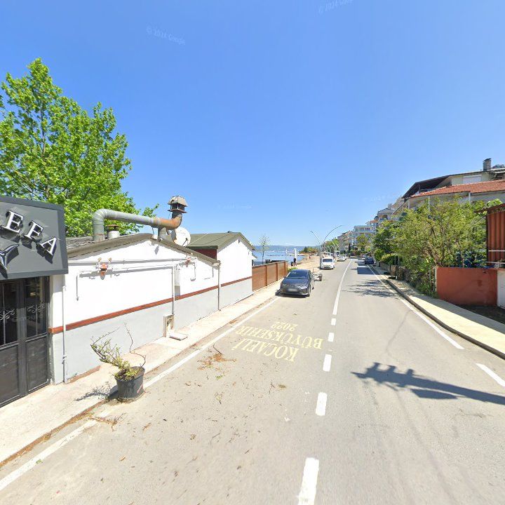 Fotoğraf 8