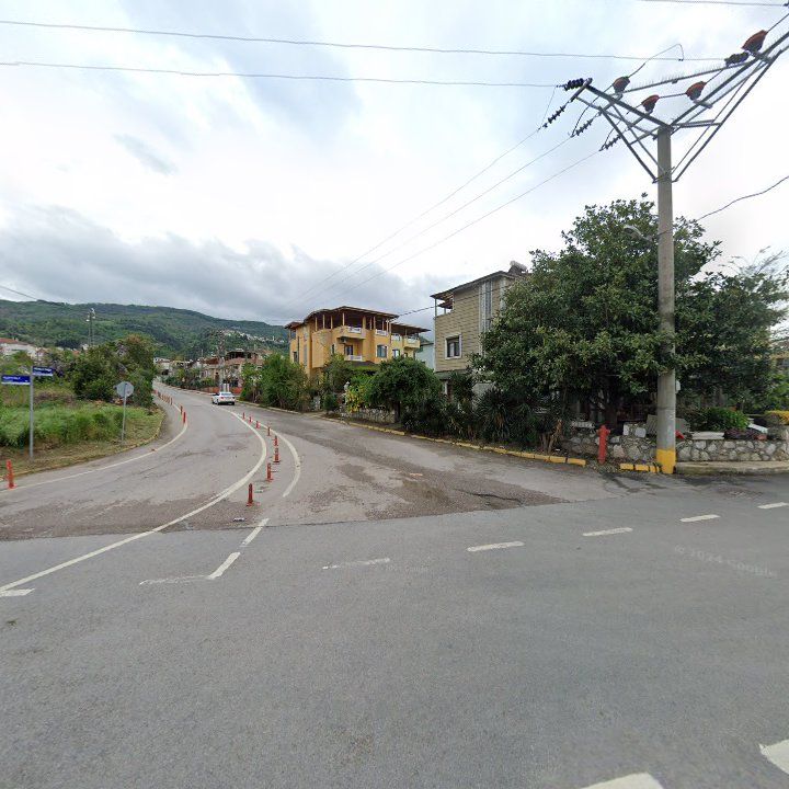 Fotoğraf 9