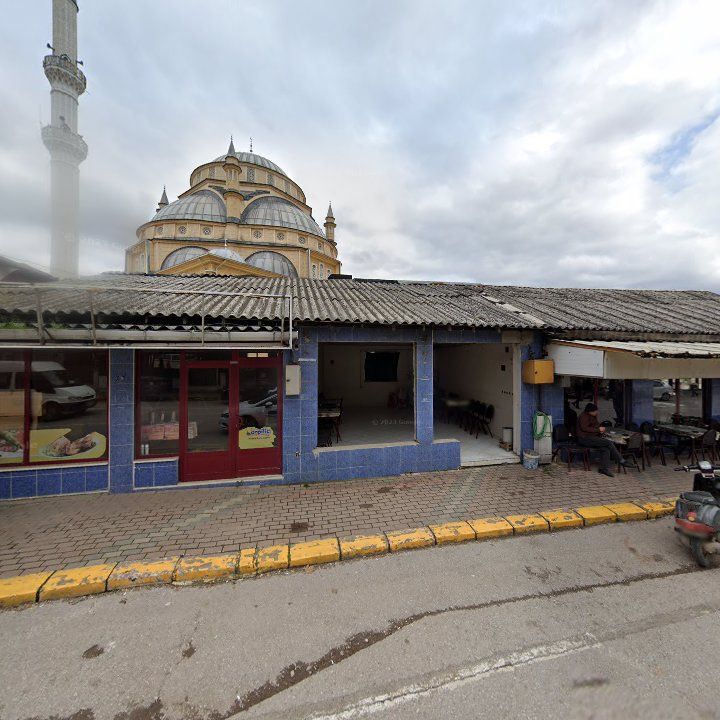 Fotoğraf 5