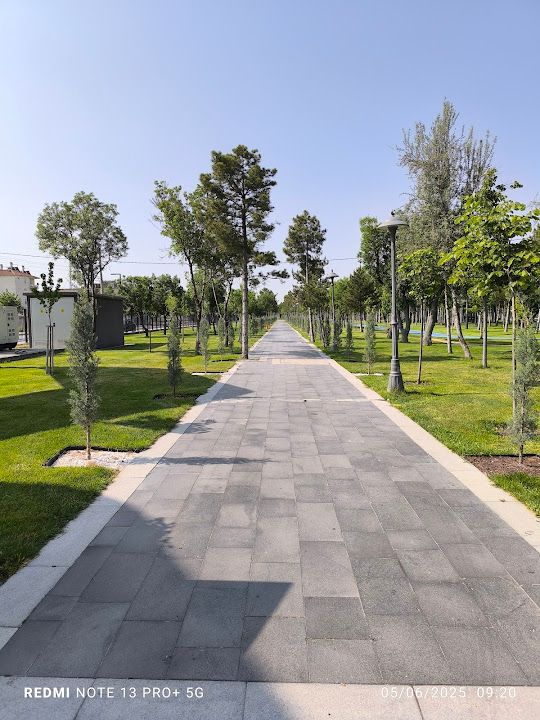 Yorum fotoğrafı 2