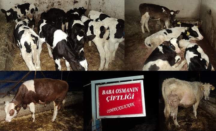Kılıçkan Home
