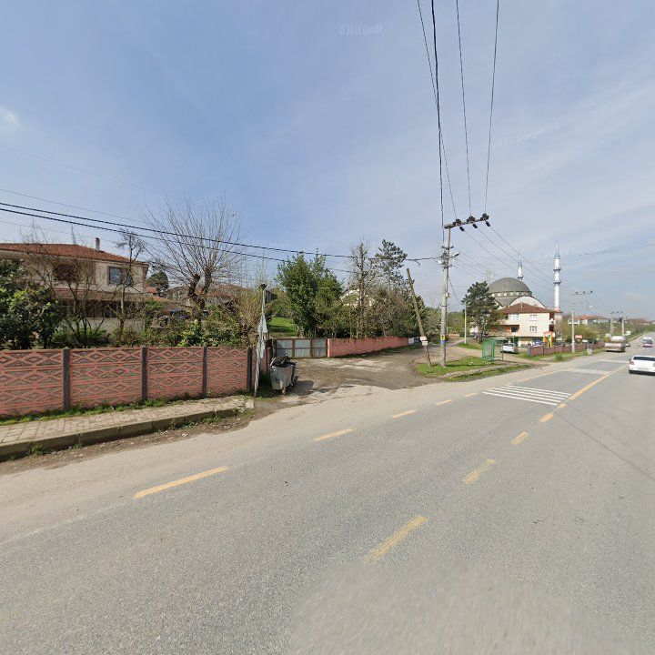 Fotoğraf 3