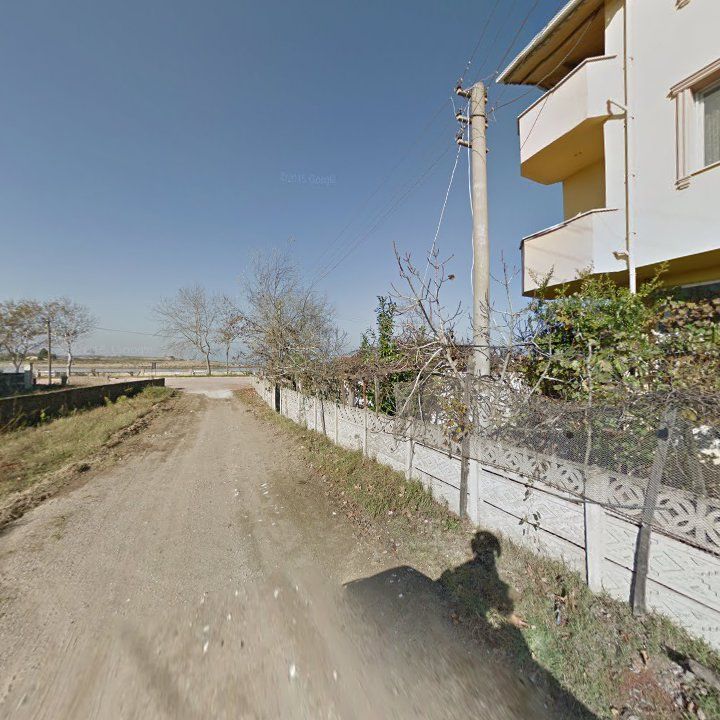 Fotoğraf 8