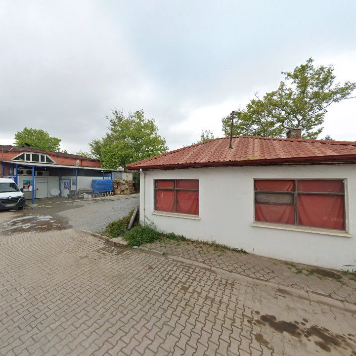 Fotoğraf 11