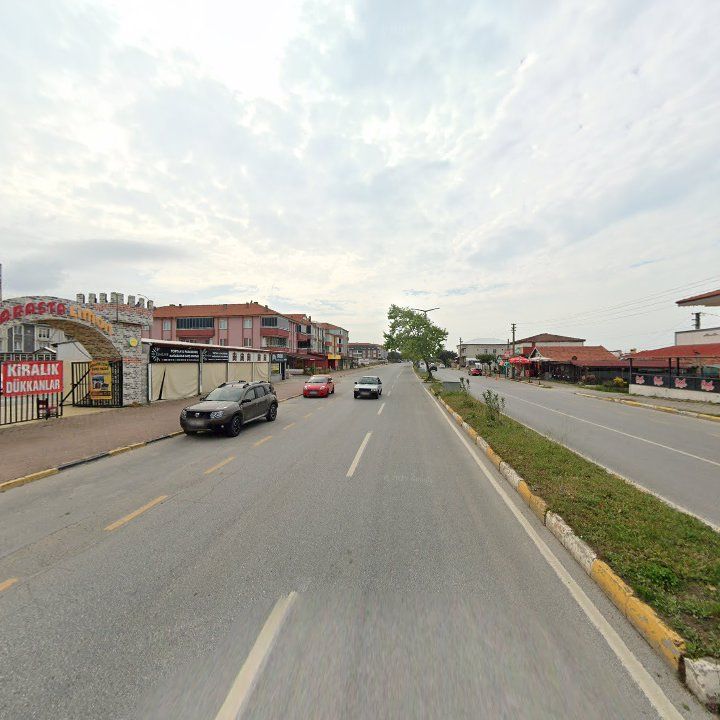 Fotoğraf 11
