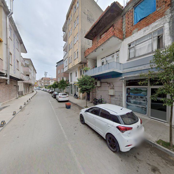 Fotoğraf 12