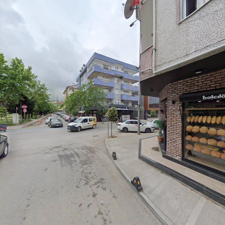 Fotoğraf 10