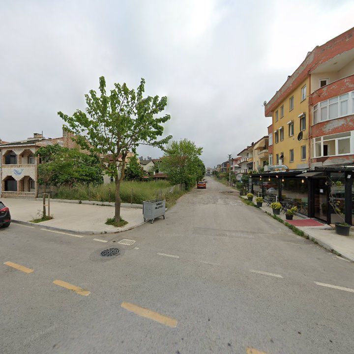 Fotoğraf 9