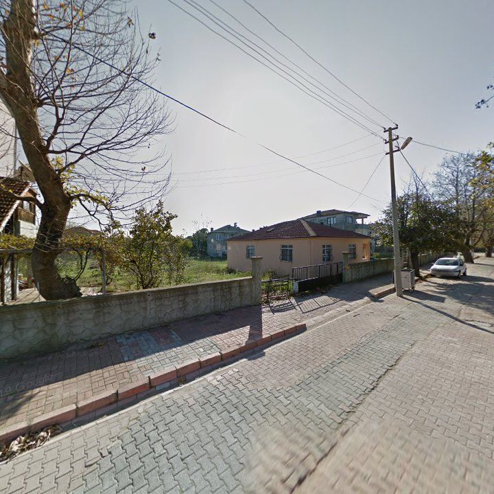 Fotoğraf 10