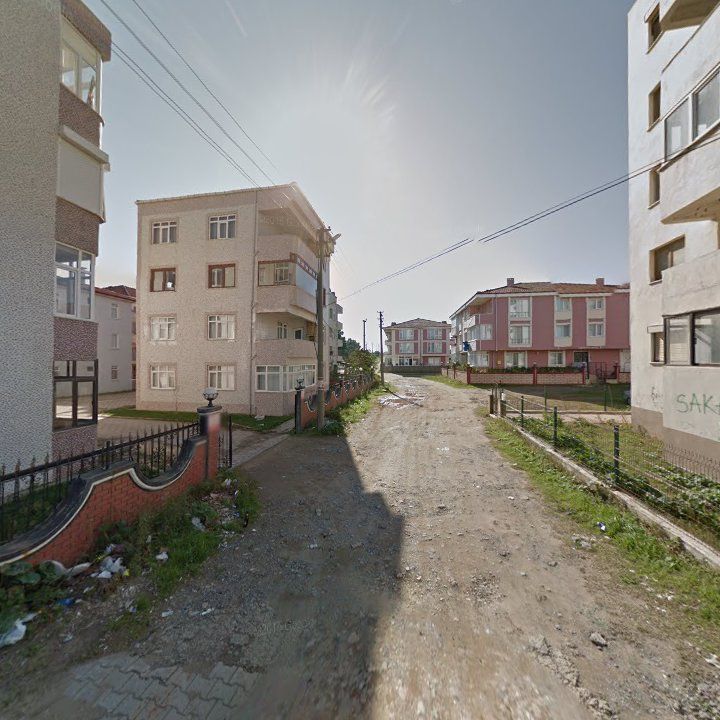 Fotoğraf 10