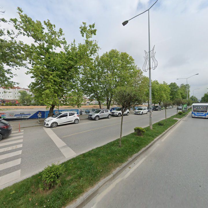 Fotoğraf 9