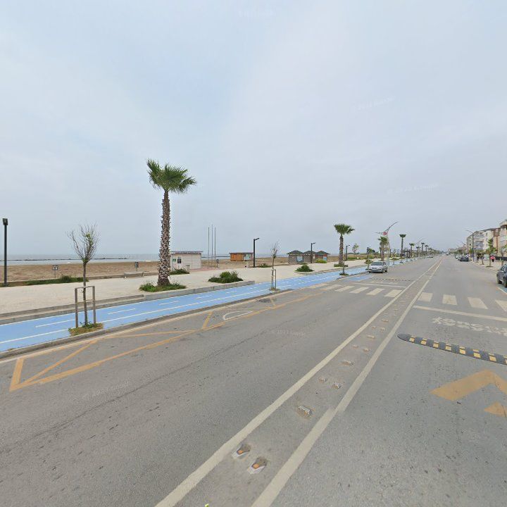 Fotoğraf 12