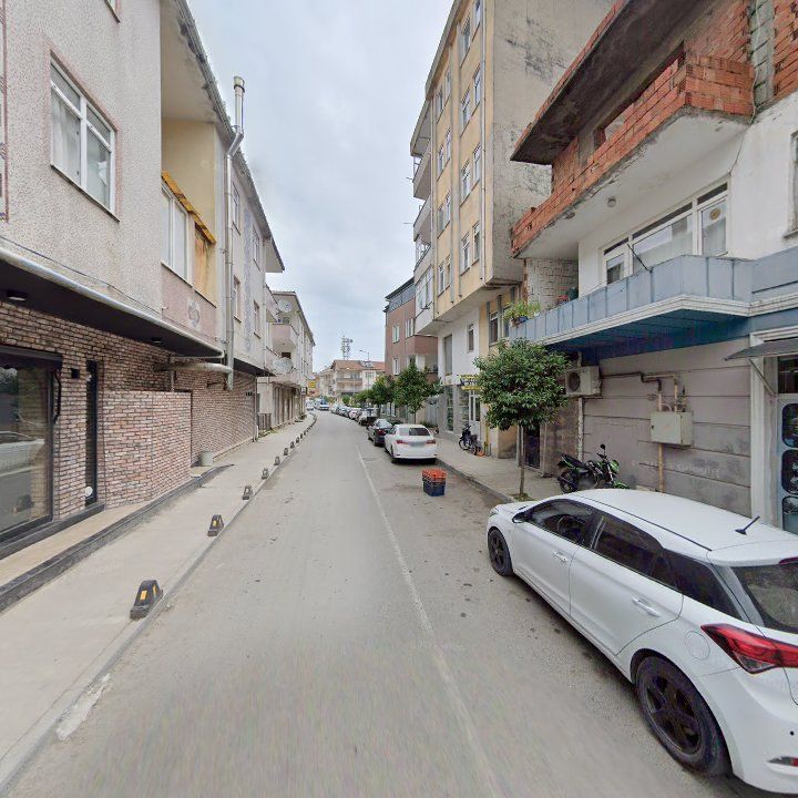 Fotoğraf 13