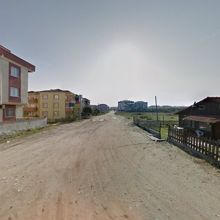 Fotoğraf 9