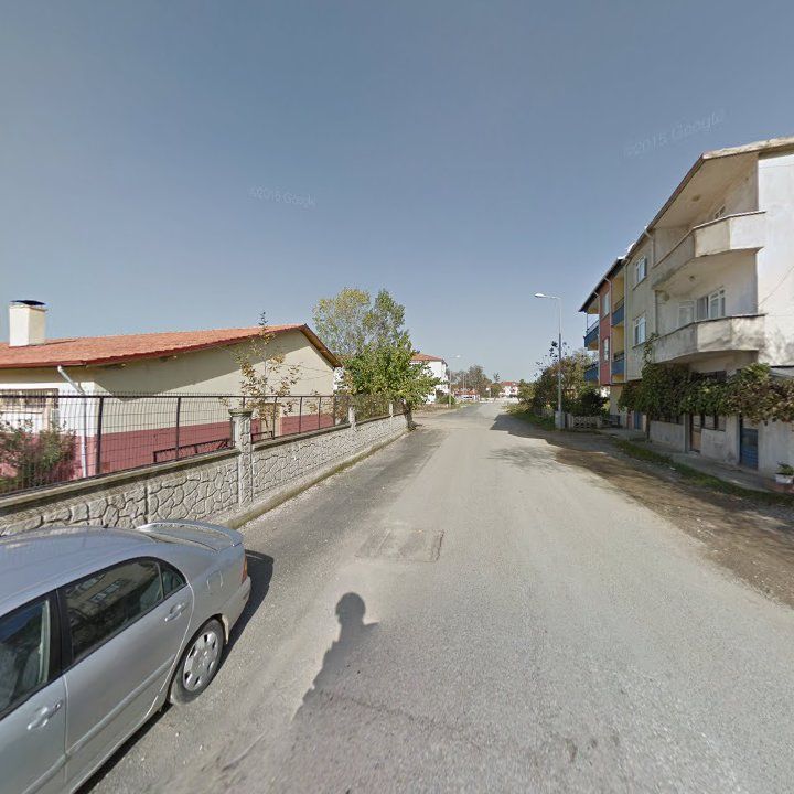Fotoğraf 8