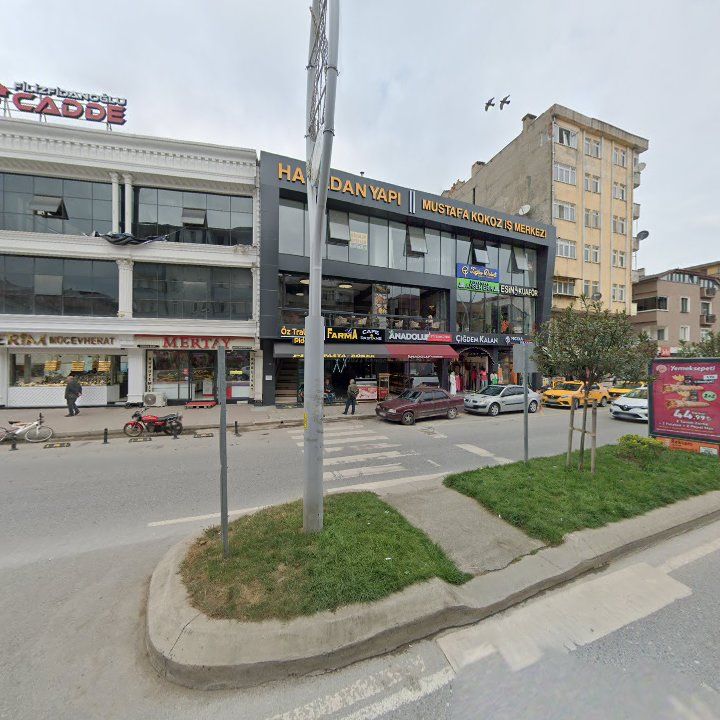 Fotoğraf 6