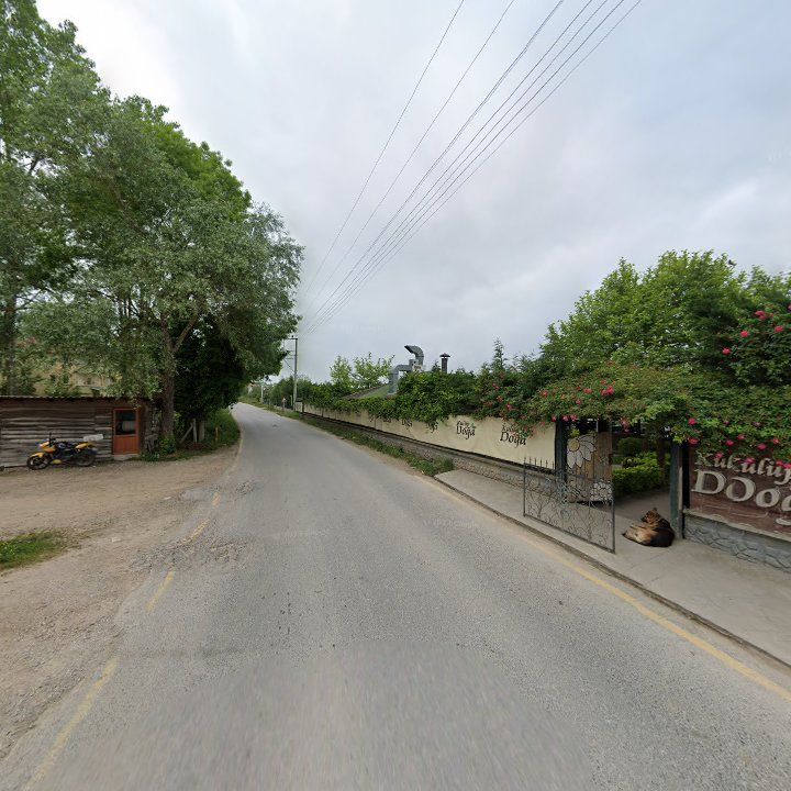 Fotoğraf 8