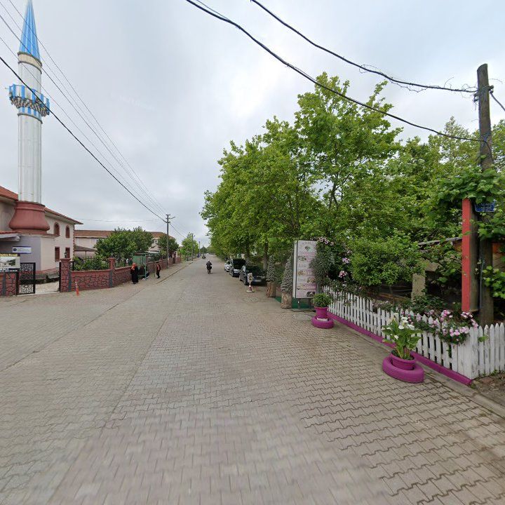 Fotoğraf 10