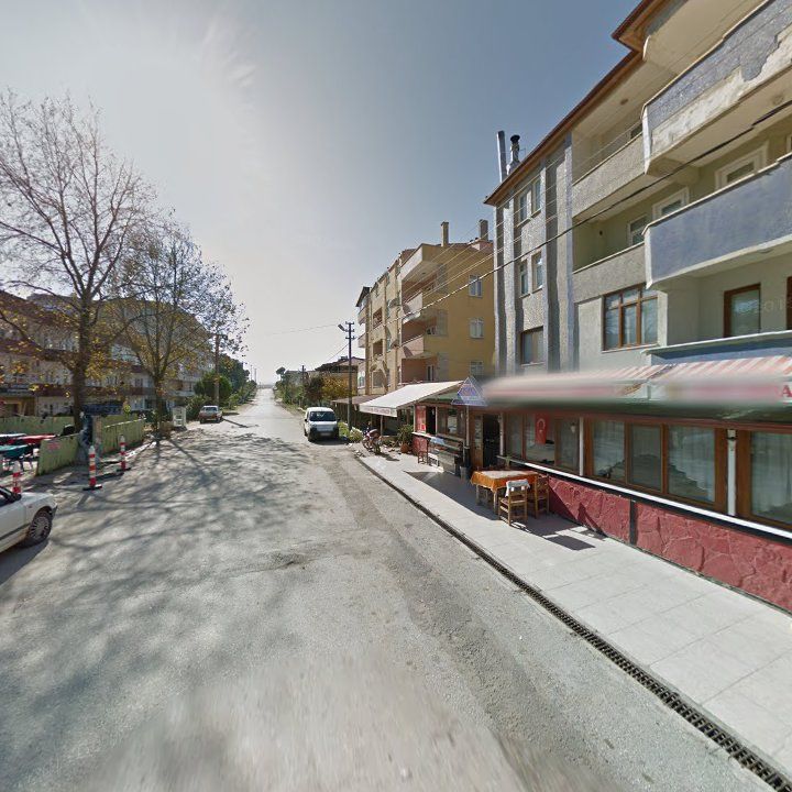 Fotoğraf 12