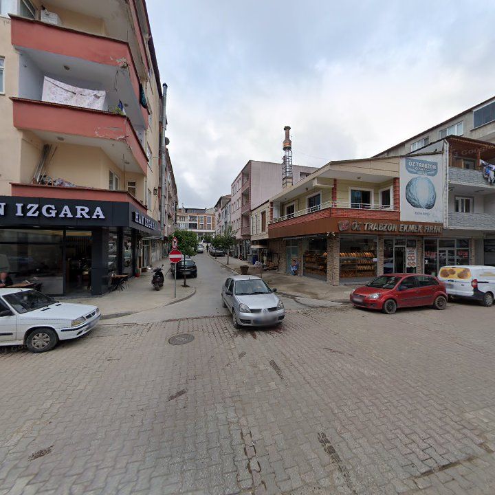 Fotoğraf 10