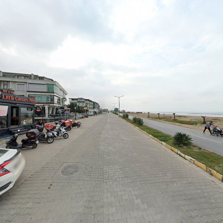 Fotoğraf 15