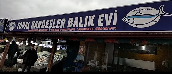 TOPAL KARDEŞLER BALIK EVİ