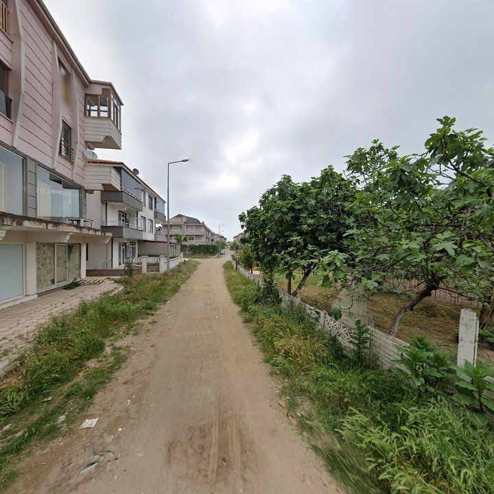 Fotoğraf 2