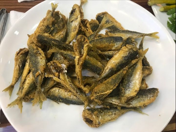 Fotoğraf 16