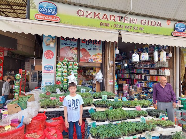 Osmanlı döner iskender