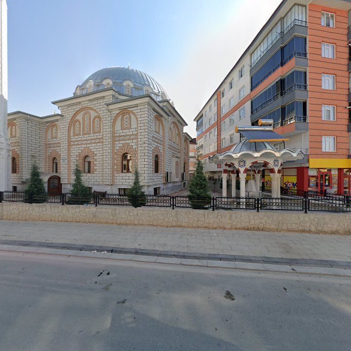 Fotoğraf 5