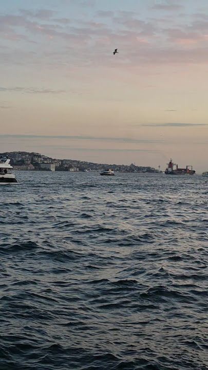 Fotoğraf 21